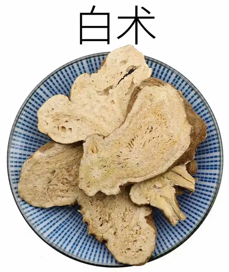白术