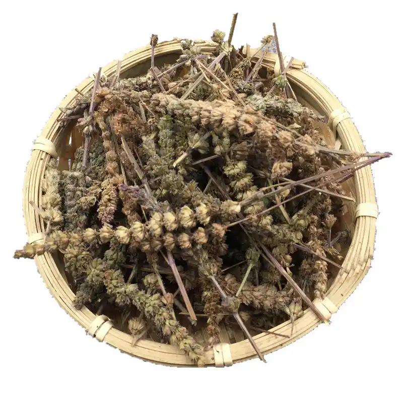 荆芥穗