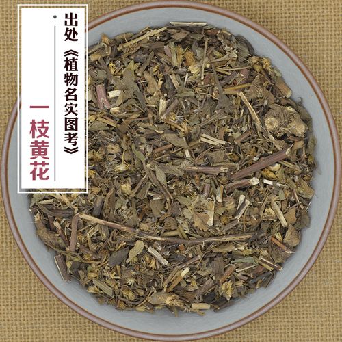 一枝黄花