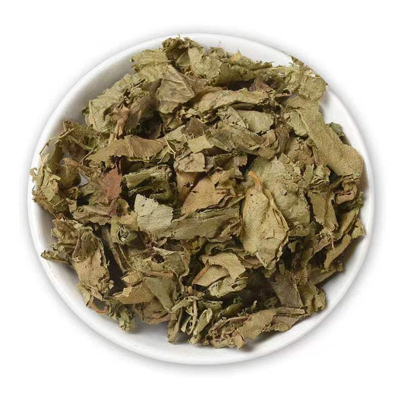 大叶紫珠