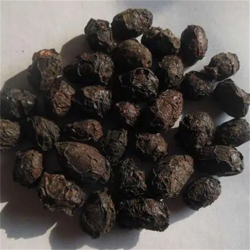 广枣