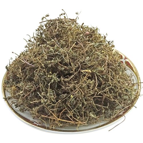 飞扬草