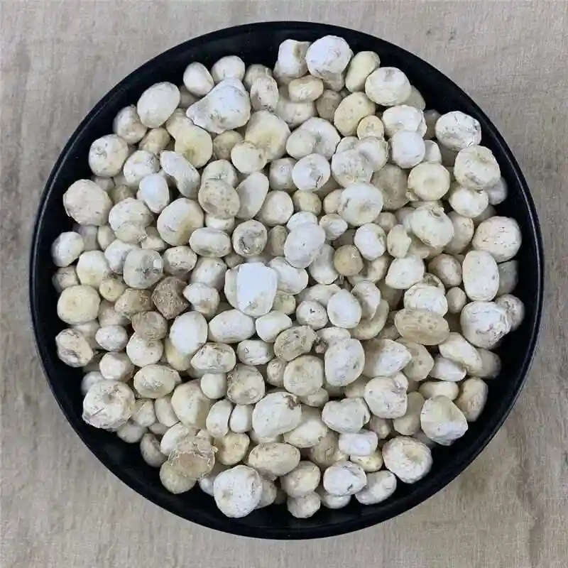 天南星