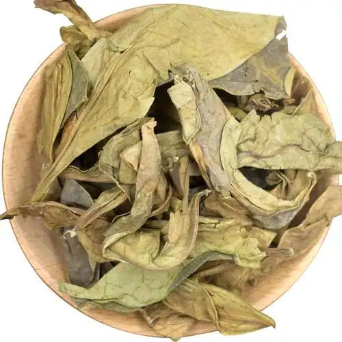 龙脷(lì)叶
