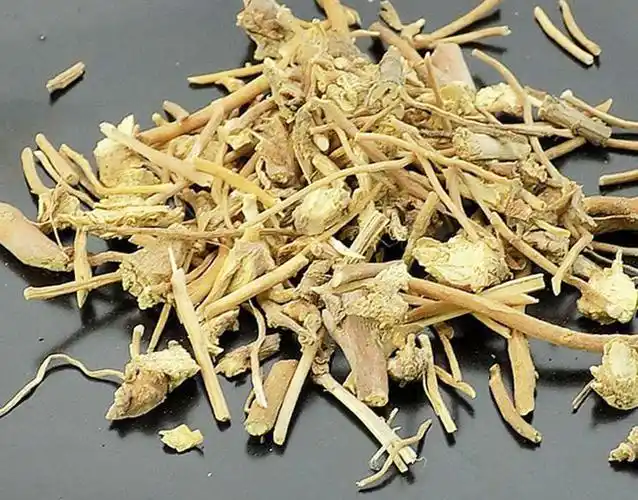 白薇