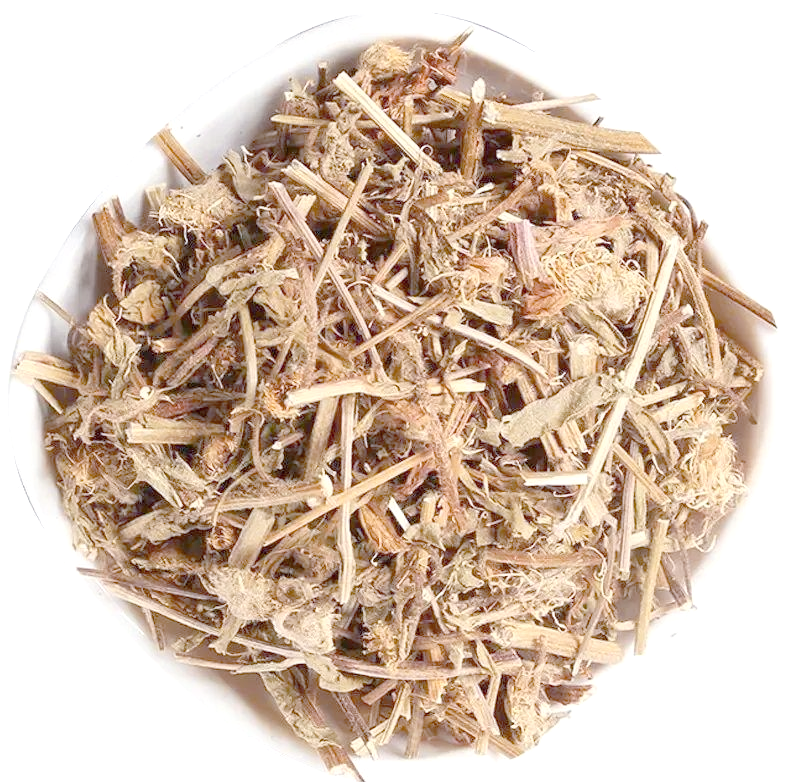 灯盏细辛(灯盏花)