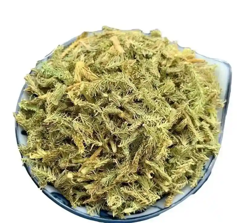 伸筋草