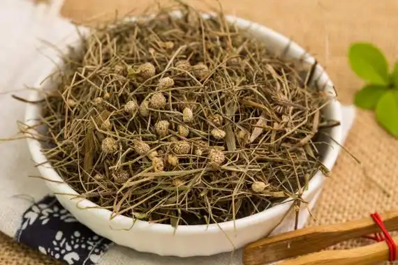 谷精草