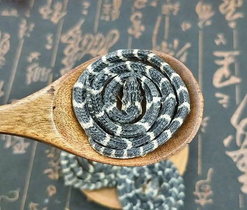 金钱白花蛇