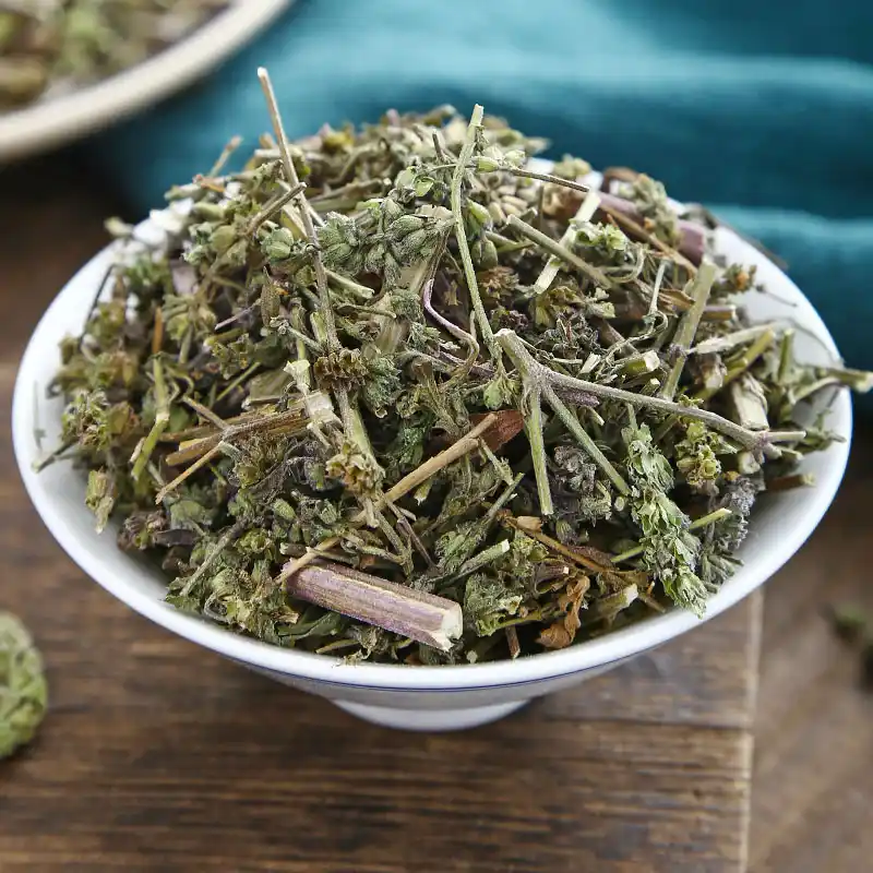 荆芥