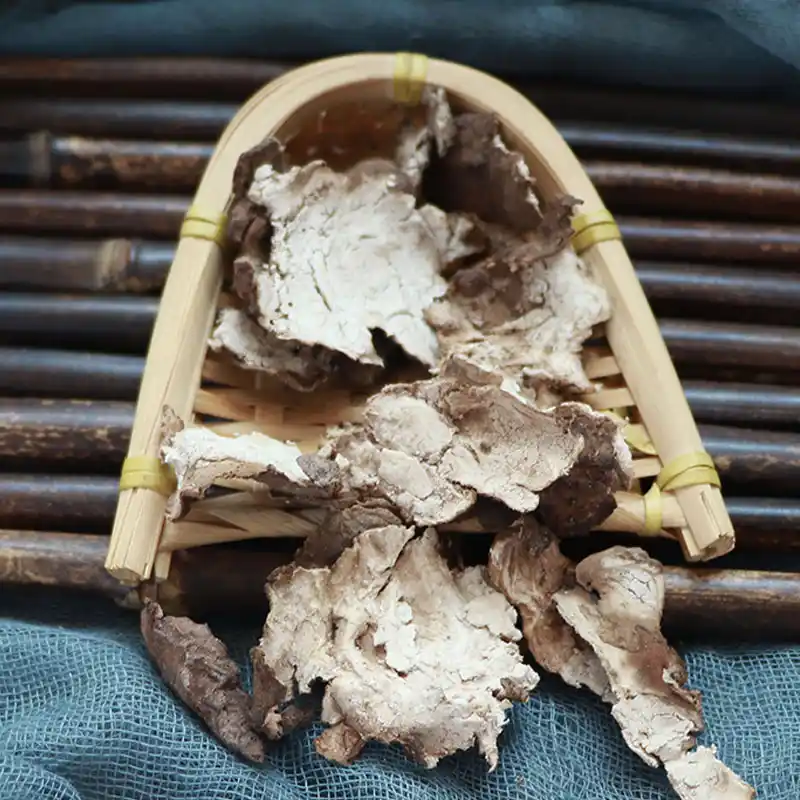 茯苓皮