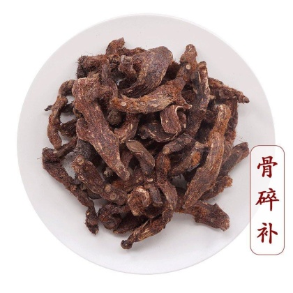 骨碎补