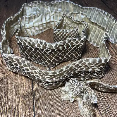 蛇蜕