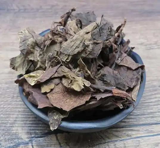 鹿衔草