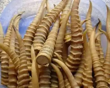 羚羊角