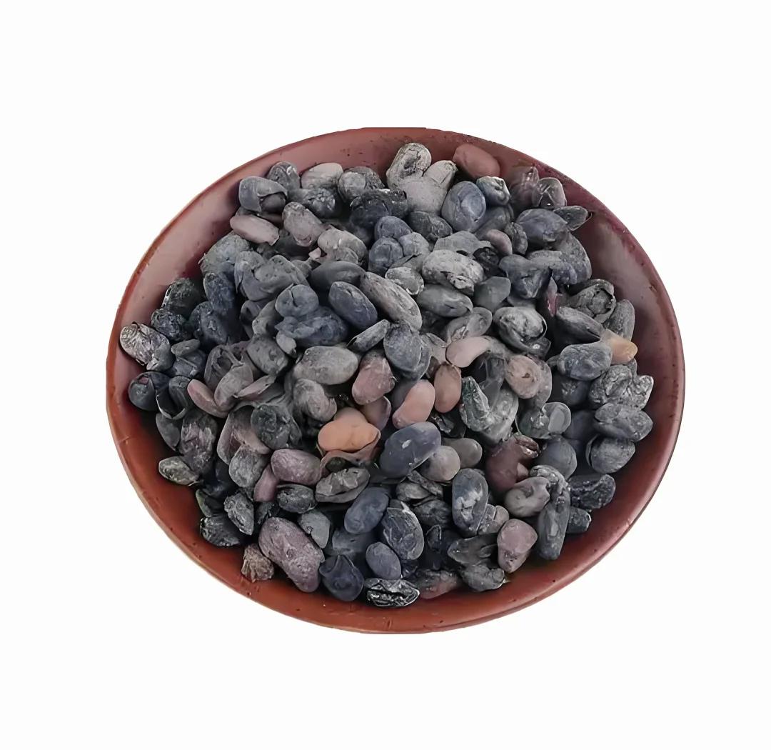 淡豆豉