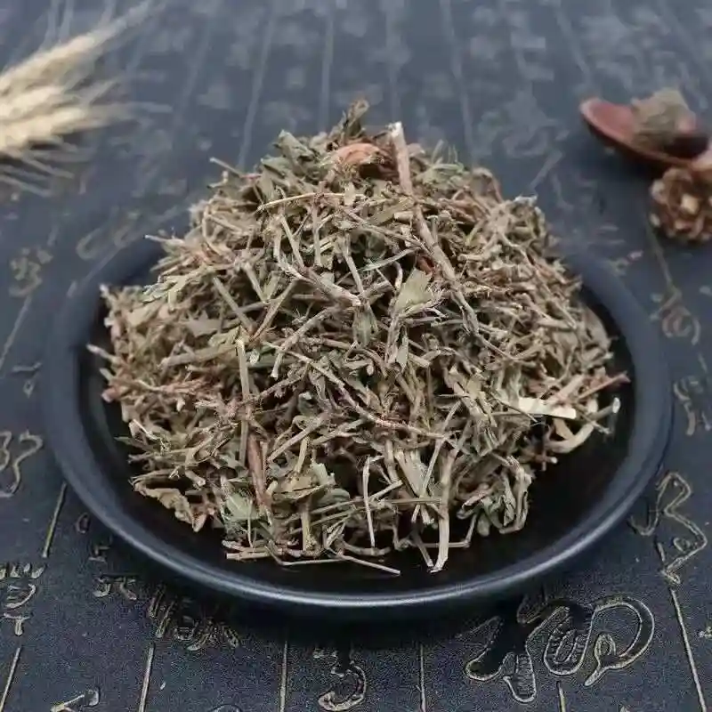 萹蓄
