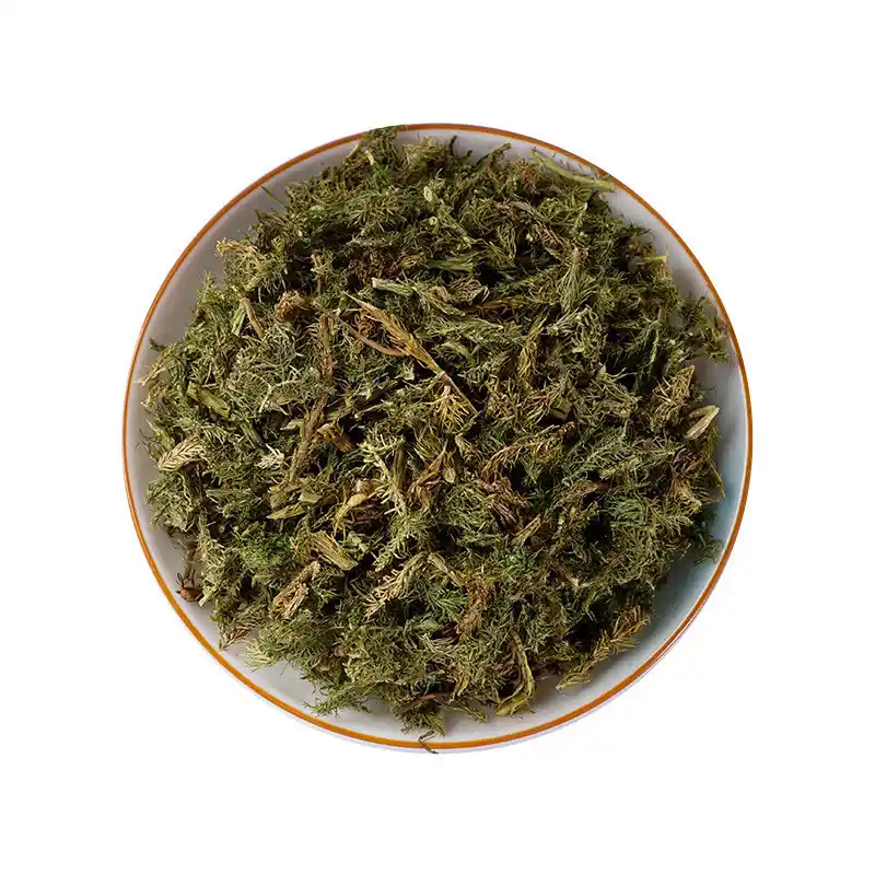 筋骨草