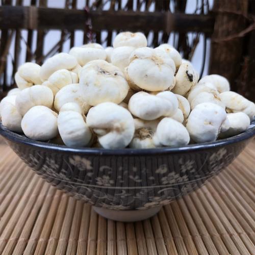 湖北贝母