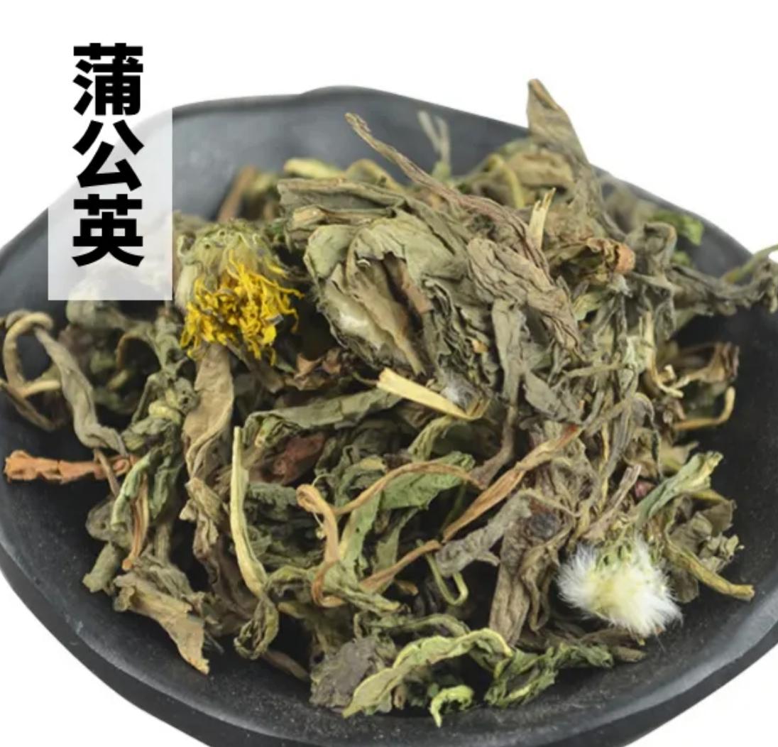 蒲公英