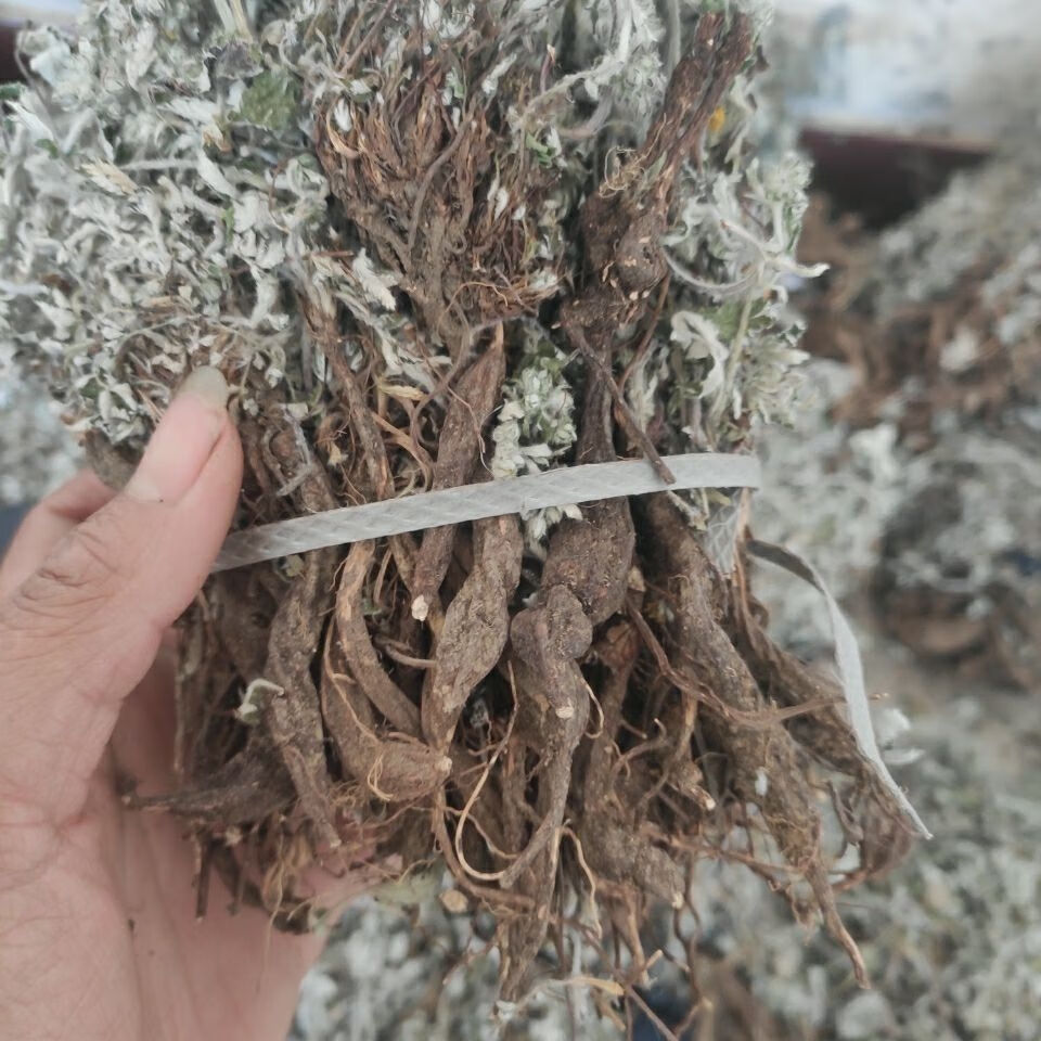 翻白草